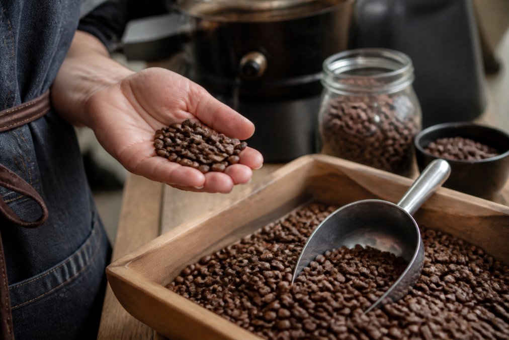 How to Tell If Coffee Beans Are Fresh