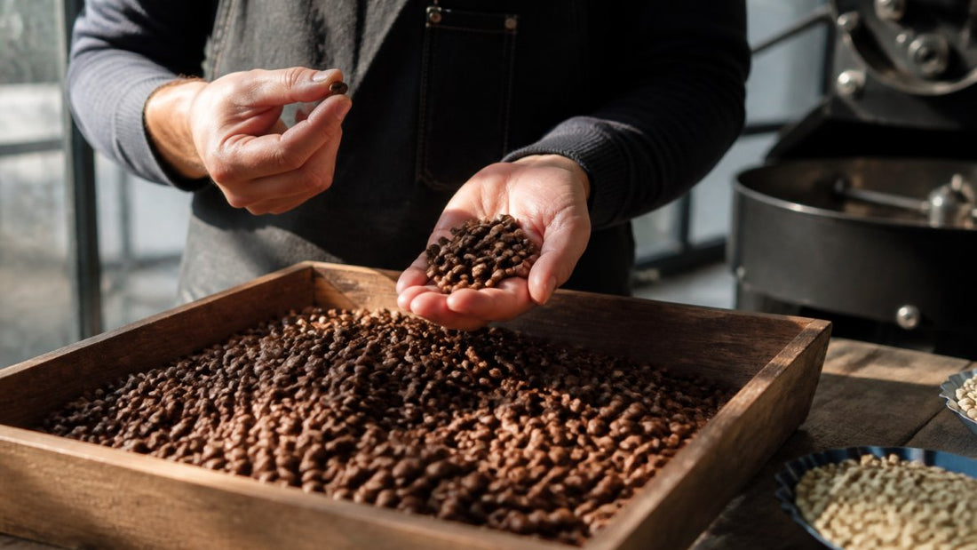 Light Exposure and Coffee Bean Quality